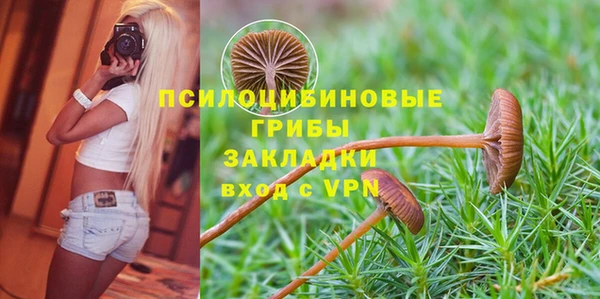 ПСИЛОЦИБИНОВЫЕ ГРИБЫ Балабаново