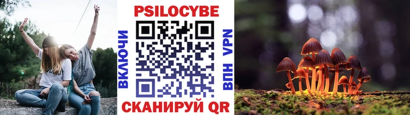 кракен онион  Ленск  Псилоцибиновые грибы Magic Shrooms 